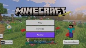 Minecraft 1.21.124 screenshot 1