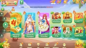 RR999 screenshot 2