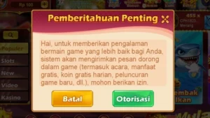 RSNVIP6 screenshot 3