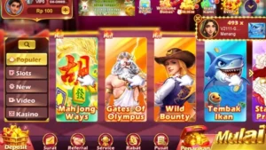 RSNVIP7 screenshot 2