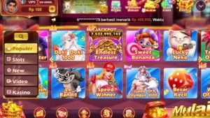 RSNVIP7 screenshot 3