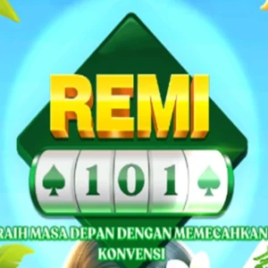 Remi 101