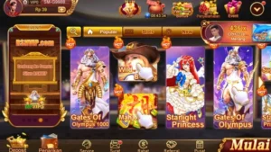 Rpvip5 screenshot 3