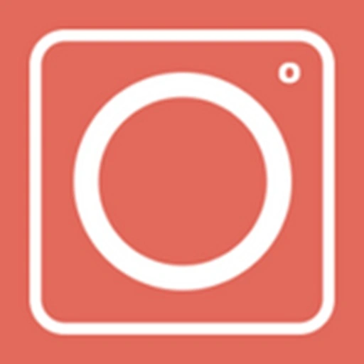 Insta Followers
