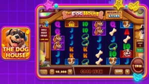 ZK988 screenshot 3