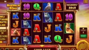 C7890 screenshot 3