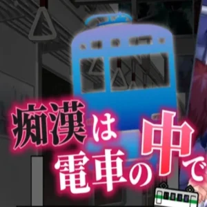 Evening Train With Shy Girl