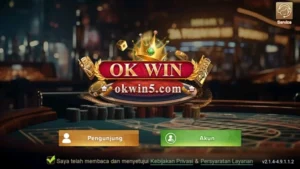 OKWIN screenshot 1