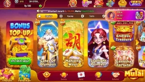 MegaIDR screenshot 3