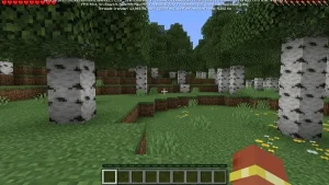 Minecraft 1.26.2.1 screenshot 2