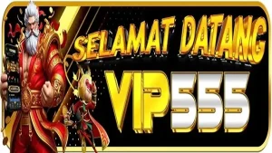 Vip555 screenshot 3