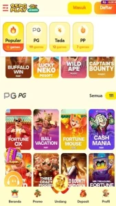 95PGPLAY screenshot 3