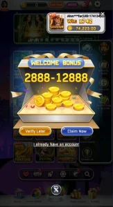 Hoki Arena screenshot 2