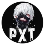 Projectxteam