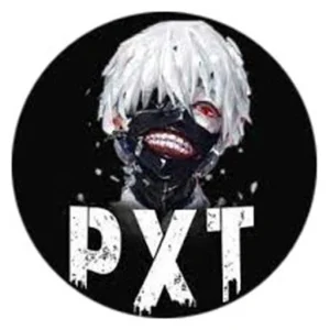 Projectxteam