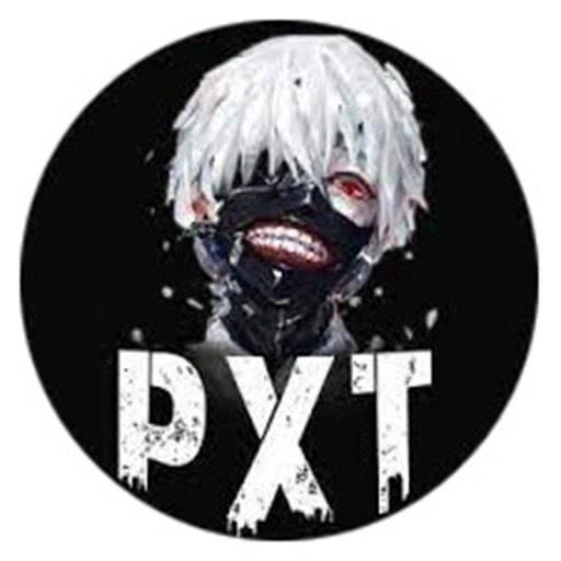 Projectxteam