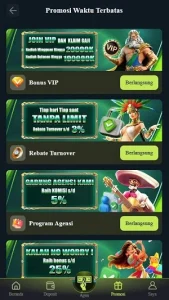 RK55 screenshot 2