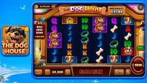 Vita555 screenshot 2