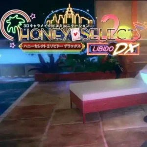 Honey Select 2
