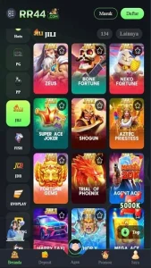 RR44 screenshot 2